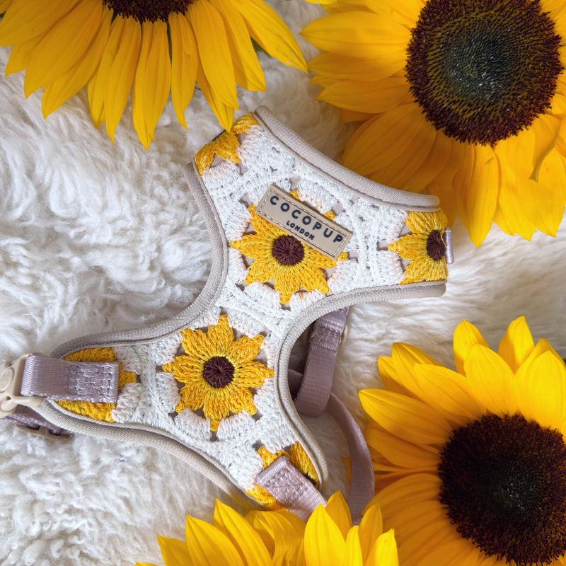 Sunflower Patch Adjustable Neck Harness: M