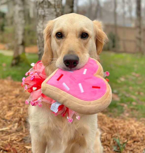 Pink Heart Sugar Cookie Dog Toy