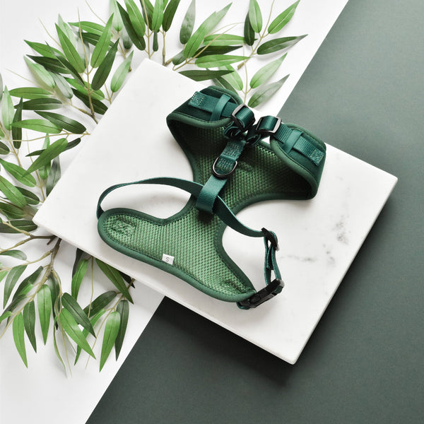 LUXE Velvet Adjustable Neck Harness - Forest Green: S