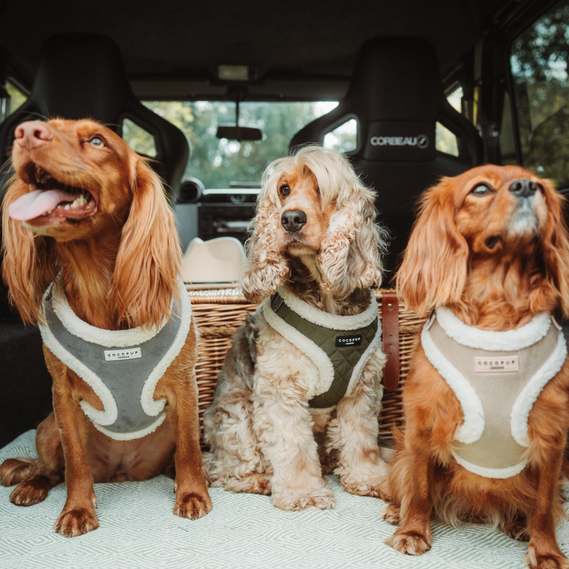 Khaki Quilted Adjustable Neck Harness: L