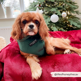 LUXE Velvet Adjustable Neck Harness - Forest Green: S