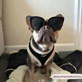 Black Aviator Adjustable Neck Harness: L