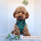 LUXE Velvet Adjustable Neck Harness - Forest Green: S