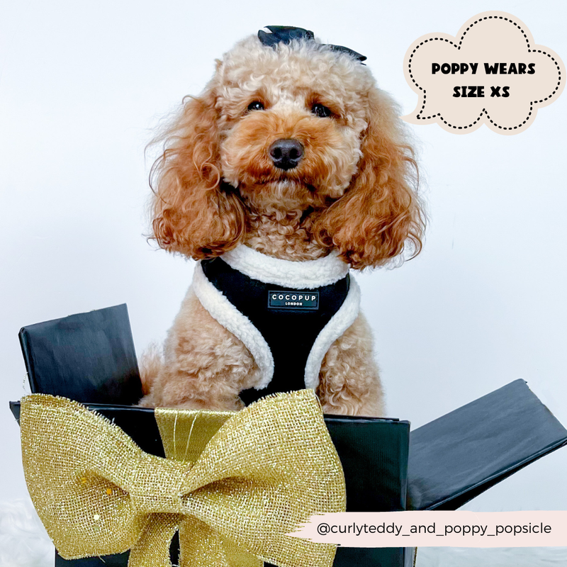Black Aviator Adjustable Neck Harness: L
