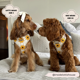 Sunflower Patch Adjustable Neck Harness: M