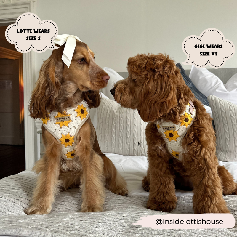 Sunflower Patch Adjustable Neck Harness: M
