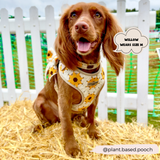 Sunflower Patch Adjustable Neck Harness: M