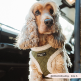 Khaki Quilted Adjustable Neck Harness: L