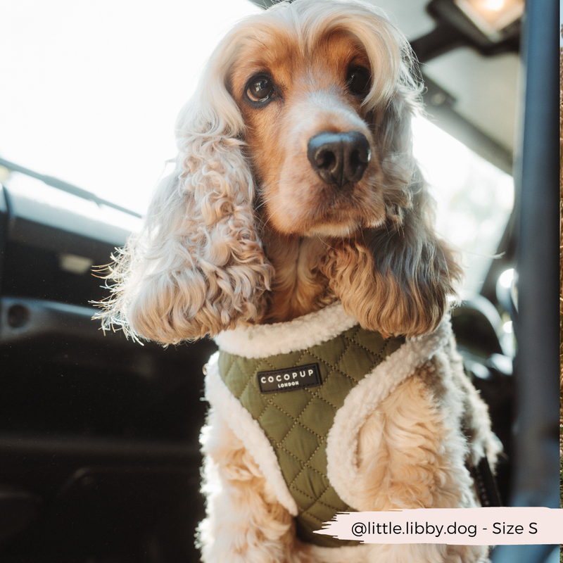 Khaki Quilted Adjustable Neck Harness: L