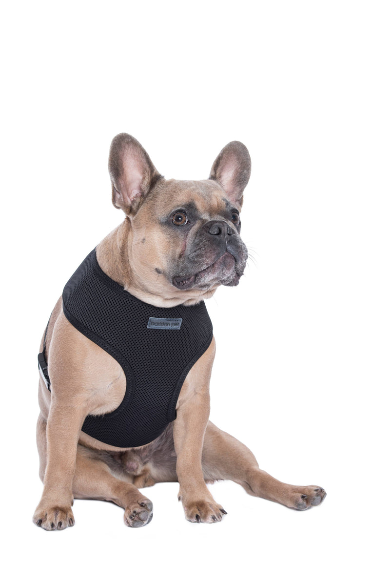 Freedom Harness Black – Trendy Dog Harness for Adventures: M