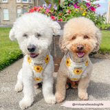 Sunflower Patch Adjustable Neck Harness: M