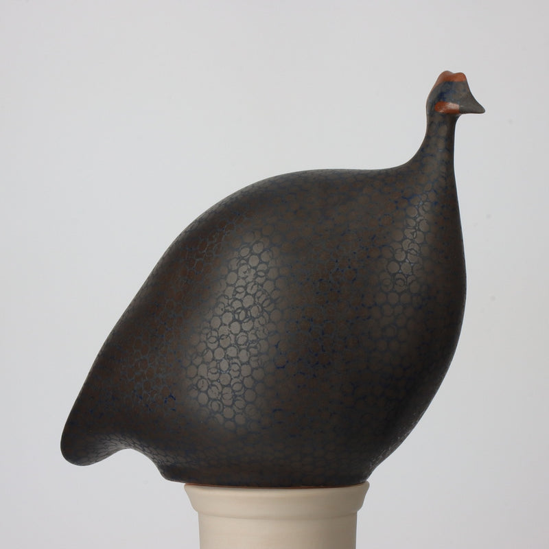 BLACK SPOTTED BLUE MATTE GUINEA FOWL-MED