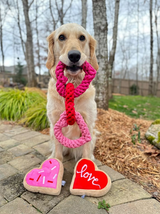 Love Sugar Cookie Dog Toy