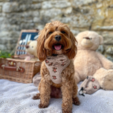 Theo Embroidered Teddy Adjustable Neck Harness: M