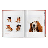 Walter Chandoha. Dogs. Photographs 1941–1991 (German, French, English)