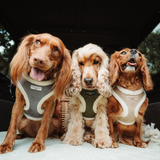 Khaki Quilted Adjustable Neck Harness: L