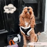 Black Aviator Adjustable Neck Harness: L