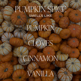 Pumpkin Spice 9 oz Soy Candle - Fall Decor and Gifts