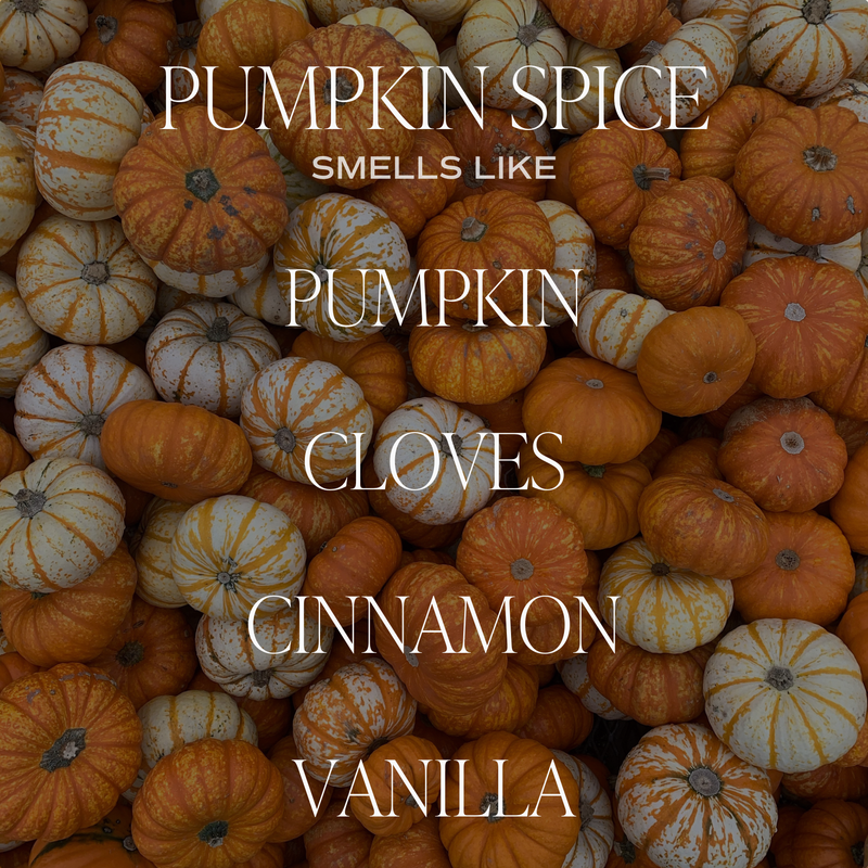 Pumpkin Spice 9 oz Soy Candle - Fall Decor and Gifts