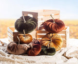 Velvet Pumpkin - 4 Assorted 10"D -