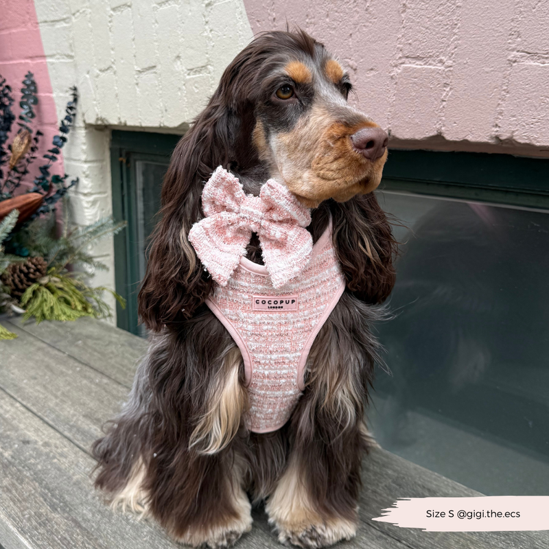 Pink Textured Tweed Adjustable Neck Harness: M