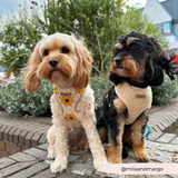 Sunflower Patch Adjustable Neck Harness: M