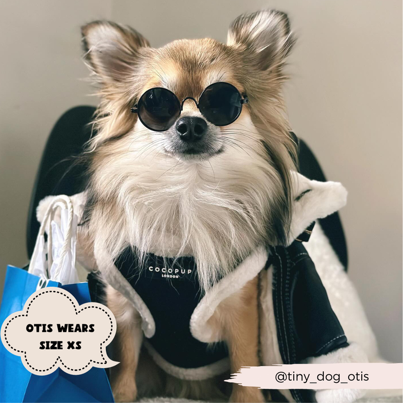Black Aviator Adjustable Neck Harness: L