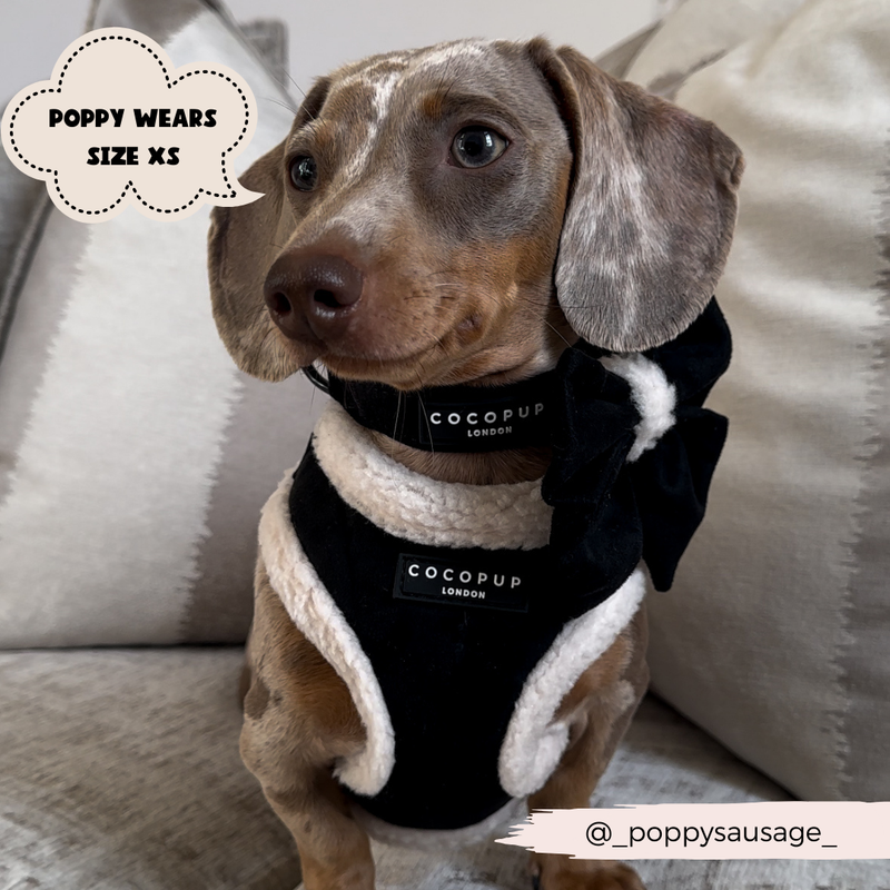 Black Aviator Adjustable Neck Harness: L