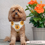 Sunflower Patch Adjustable Neck Harness: M