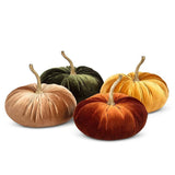 Velvet Pumpkin - 4 Assorted 10"D -