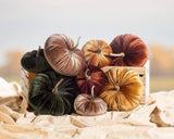 Velvet Pumpkin - 4 Assorted 10"D -