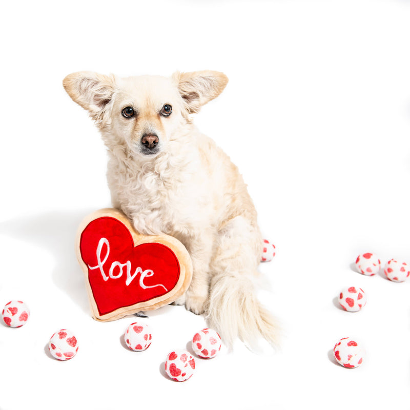 Love Sugar Cookie Dog Toy