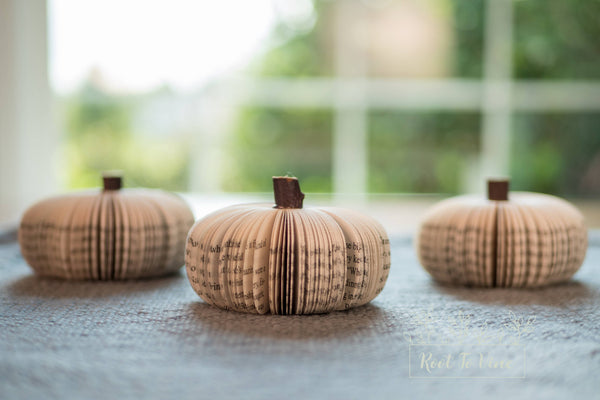 Fall Decor Book Pumpkin Cutie Halloween Decor Book Lover
