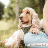 Khaki Quilted Adjustable Neck Harness: L