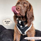 Black Aviator Adjustable Neck Harness: L