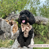 Theo Embroidered Teddy Adjustable Neck Harness: M