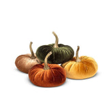 Velvet Pumpkin - 4 Assorted 10"D -