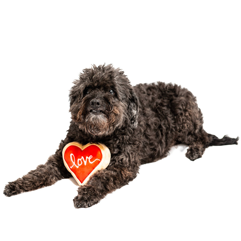 Love Sugar Cookie Dog Toy