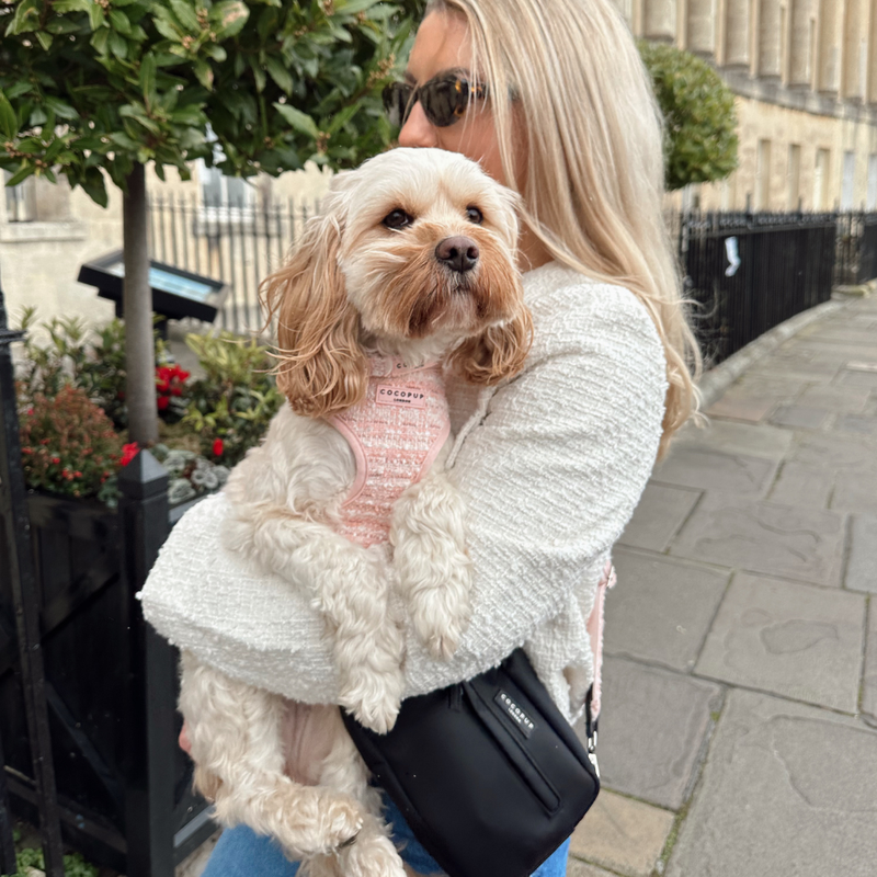 Pink Textured Tweed Adjustable Neck Harness: M