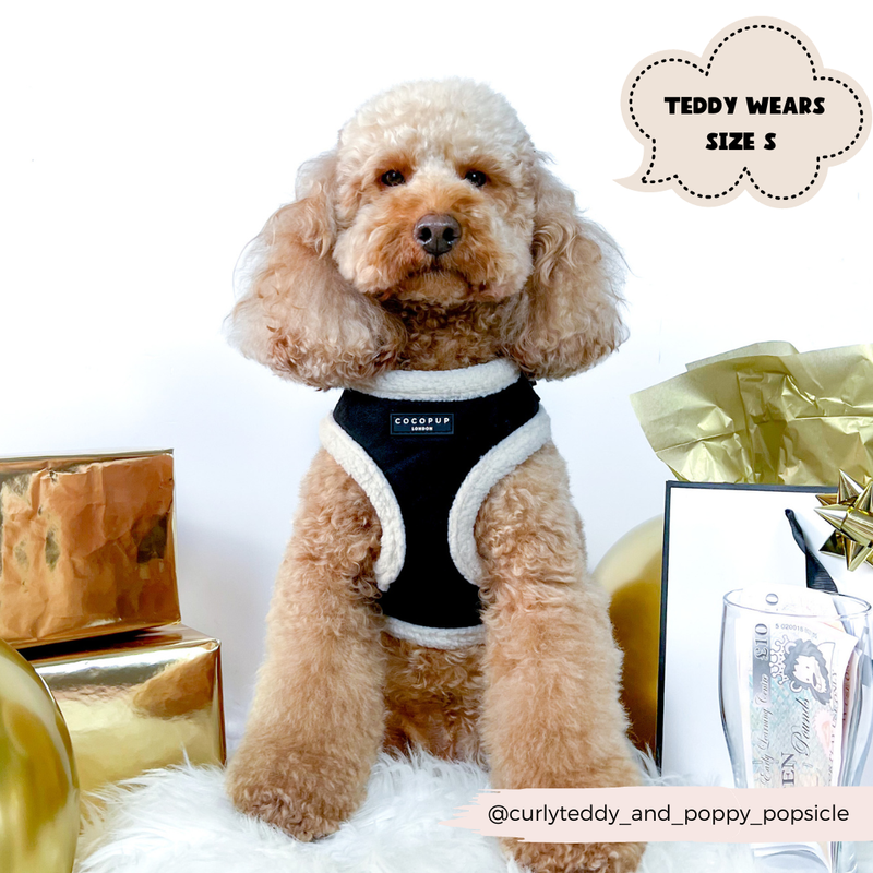 Black Aviator Adjustable Neck Harness: L
