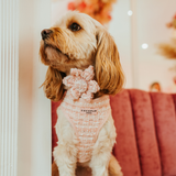 Pink Textured Tweed Adjustable Neck Harness: M