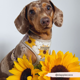 Sunflower Patch Adjustable Neck Harness: M