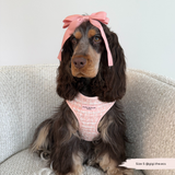 Pink Textured Tweed Adjustable Neck Harness: M