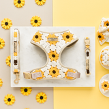 Sunflower Patch Adjustable Neck Harness: M