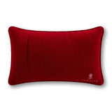 Expensive_To_Be_Me_Needlepoint_Pillow_Jimmy_Delaurentis_4