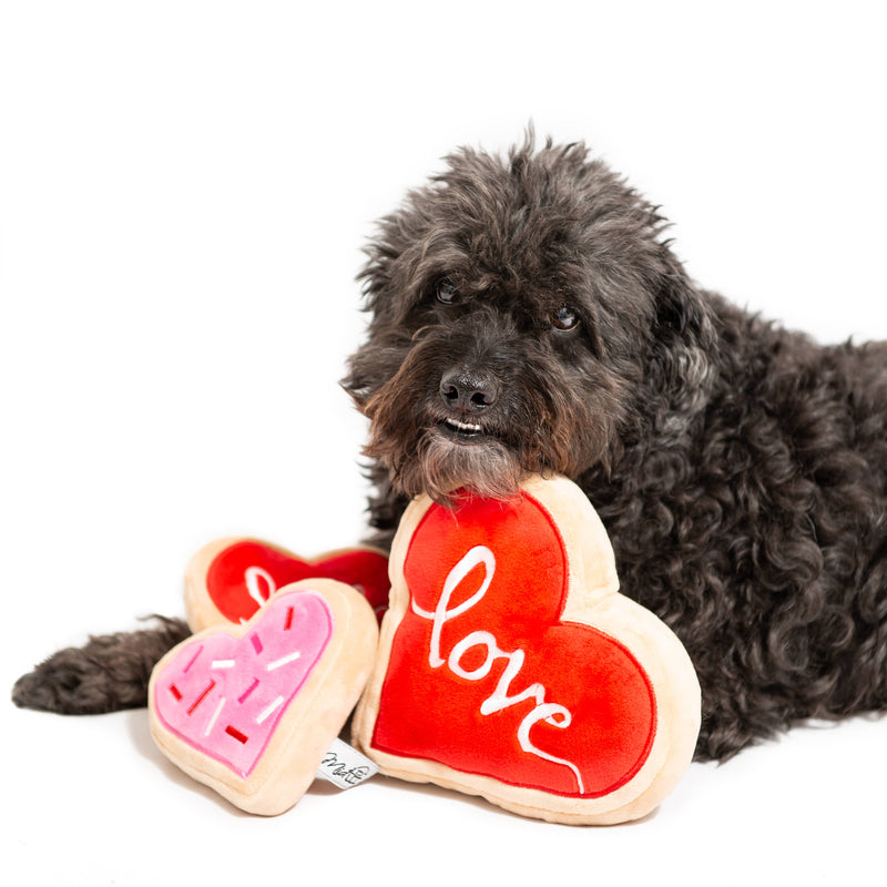 Heart Shape Cookie - Pet Toy - ALT 2