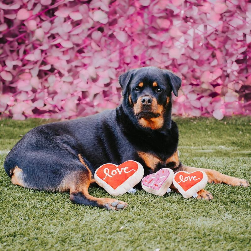 Heart Shape Cookie - Pet Toy-ALT