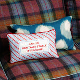 Mentally_Stable_Needlepoint_Pillow_Jimmy_Delaurentis_2