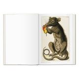 Seba._Cabinet_of_Natural_Curiosities_German_French_English_Jimmy_Delaurentis_2