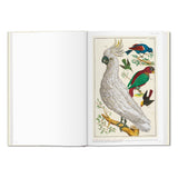 Seba._Cabinet_of_Natural_Curiosities_German_French_English_Jimmy_Delaurentis_3